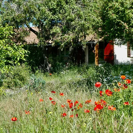 Holiday home La Chelidoine Labeaume